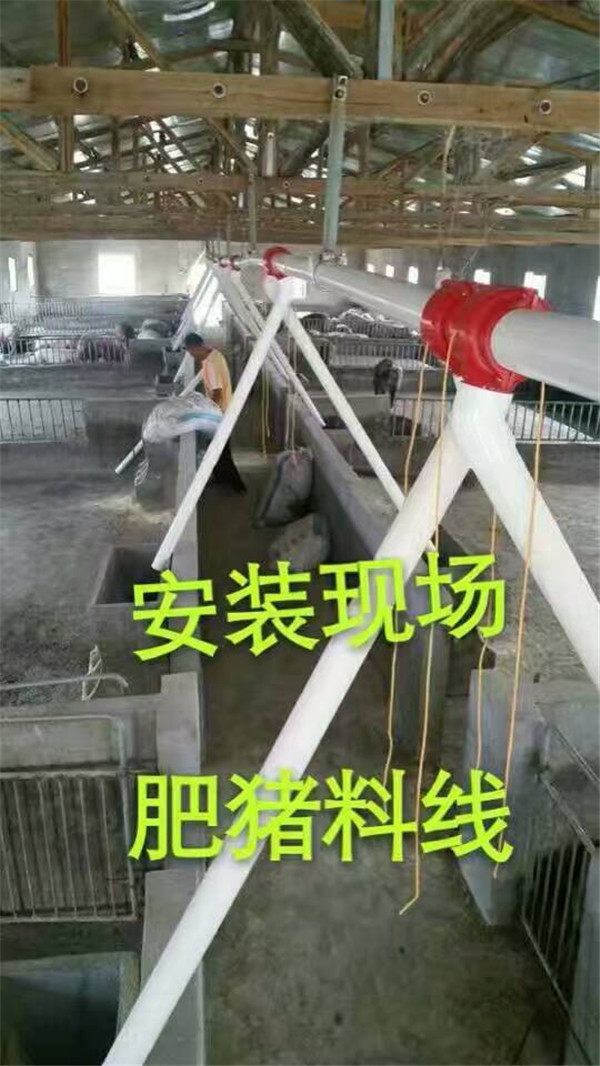 豬場自動化喂料設(shè)備